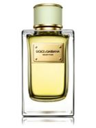 Dolce & Gabbana Vevlet Pure Eau De Parfum-5 Oz.