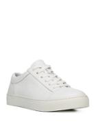 Vince Afton Leather Sneakers