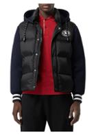 Burberry Quilted Nylon & Neoprene Hooded Down-fill Jacket