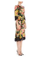 Dolce & Gabbana Lace Trim Stretch Cady Floral Dress