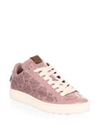 Coach Floral Cut-out Leather Sneakers