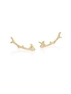 Ippolita Glamazon Stardust Diamond & 18k Yellow Gold Coral Branch Earrings