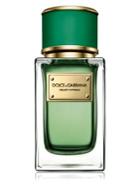 Dolce & Gabbana Velvet Cypress Fragrance