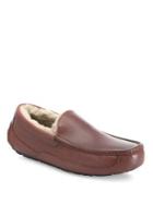 Ugg Ascot Scotch Grain Leather Slippers