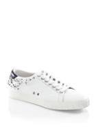 Ash Dazed Studded Leather Low-top Sneakers