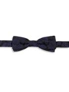 Dolce & Gabbana Embroidered Silk Bow Tie