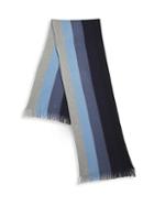 Saks Fifth Avenue Collection Cashmere Ombre Ribbon Scarf