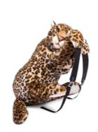Dolce & Gabbana Leopard Patterned Backpack