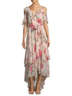 Joie Cristeta Silk Floral Maxi Dress