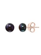Effy 14k Rose Gold & 7mm Black Freshwater Pearl Earrings