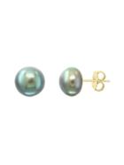 Effy 14k Yellow Gold & 9mm Grey Freshwater Pearl Earrings