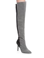 Charles By Charles David Pepper Suede Over-the-knee Boots