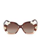 Chlo Havana 54mm Rounded Square Sunglasses