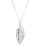 Nephora 14k White Gold & Diamond Feather Pendant Necklace