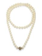 Heidi Daus 12mm Never Ending Pave Necklace