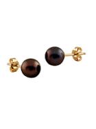 Masako Pearls 6-6.5mm Black Japanese Akoya Pearl & 14k Yellow Gold Stud Earrings