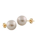 Masako Pearls 10-10.5mm White Pearl & 14k Yellow Gold Stud Earrings