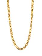 Stephanie Kantis Tutor Chain Necklace/18