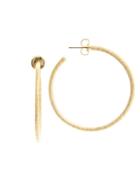 Rivka Friedman 18k Goldplated Hammered Satin Hoop Earrings