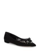 Prada Studded Pearl Point Toe Suede Flats