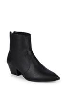 Steve Madden Cafe Leather Booties