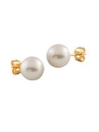 Masako Pearls 8-8.5mm White Pearl & 14k Yellow Gold Stud Earrings