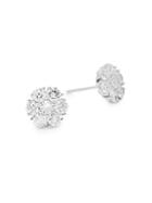 Diana M Jewels 18k White Gold & Diamond Cluster Stud Earrings