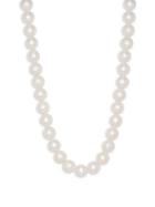 Masako Pearls 10-10.5mm White Pearl & 14k Yellow Gold Necklace