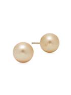 Tara Pearls 14k Gold 9-10mm South Sea Pearl Stud Earrings