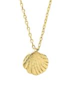Sterling Forever 14k Goldplated Sterling Silver Shell Pendant Necklace