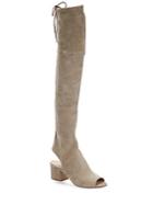 Sigerson Morrison Mason Suede Over-the-knee Boots