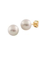 Masako Pearls 7-7.5mm White Japanese Akoya Pearl & 14k Yellow Gold Stud Earrings