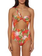 Dolce Vita Printed One-piece Swimsuit