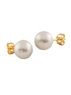 Masako 8-8.5mm White Pearl And 14k Yellow Gold Stud Earrings