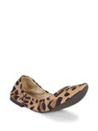 Bcbgeneration Leopard-print Ballet Flats