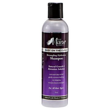The Mane Choice Detangling Hydration Shampoo