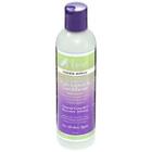 The Mane Choice Kids Green Apple Fruit Medley Detangling Leave In Conditioner