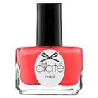 Ciate Mini Paint Pot Nail Polish And Effects Access All Areas 0.17 Oz