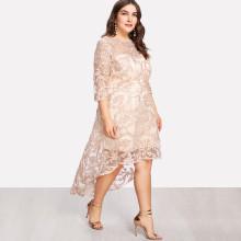 Shein Plus Applique Mesh Overlay Dip Hem Dress