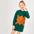 Shein Girls Fringe Trim Sweater Dress