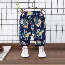 Shein Boys Pineapple Print Shorts