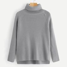 Shein Raglan Sleeve High Neck Jumper