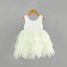 Shein Girls Lace Overlay Layered Mesh Dress