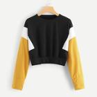 Shein Colorblock Cut And Sew Panel Sweatshirt