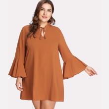 Shein Plus Tassel Tied Front Flounce Sleeve Dress