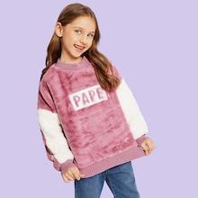 Shein Toddler Girls Letter Print Teddy Sweatshirt