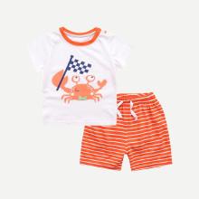 Shein Boys Crab Tee And Striped Shorts
