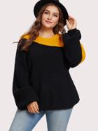 Shein Two Tone Exaggerated Sleeve Sweater