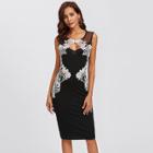 Shein Lace Applique Mesh Panel Fitted Dress