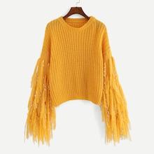 Shein Tassel Embellished Sleeve Jumper